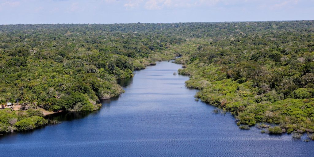 piranhas-ajudam-no-monitoramento-ambiental-dos-rios-amazonicos