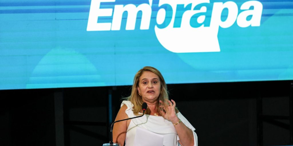 jornada-pelo-clima:-embrapa-discute-propostas-para-cop-30