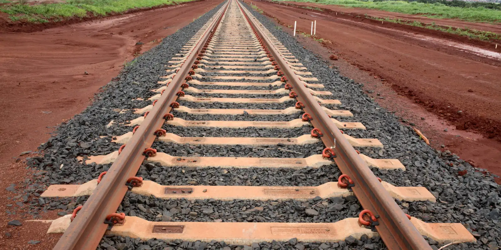 governo-quer-leiloar-ferrovia-ef-118-ainda-neste-ano,-diz-ministro