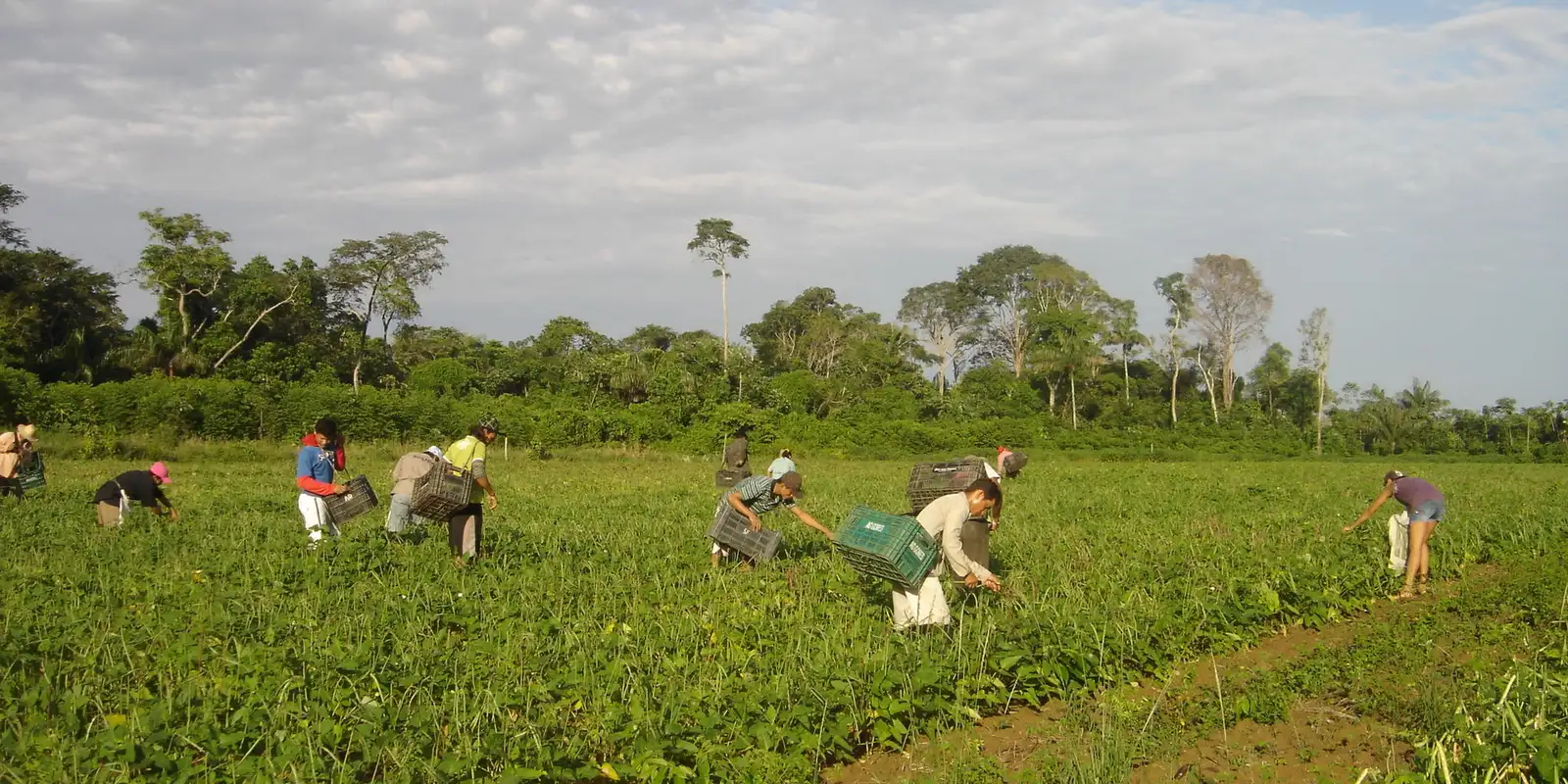 produtores-afetados-por-estiagem-no-rs-podem-renegociar-credito-rural