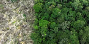 fundo-amazonia-vai-investir-r$-825-milhoes-em-acoes-do-ibama