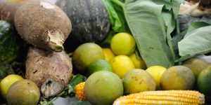 preco-da-cesta-basica-cai-em-15-de-17-capitais-pesquisadas