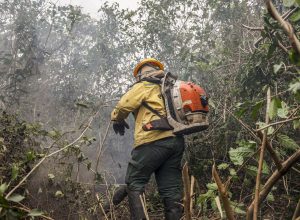 ibama-inicia-operacao-de-prevencao-e-combate-a-queimadas-no-pantanal