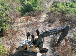 mineracao-ilegal-e-trafico-de-animais-serao-crimes-de-maior-gravidade