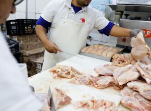 brasil-se-declara-pais-livre-da-gripe-aviaria